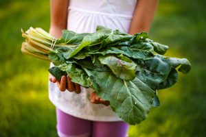 Chard