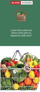 FNS Brochure Spanish