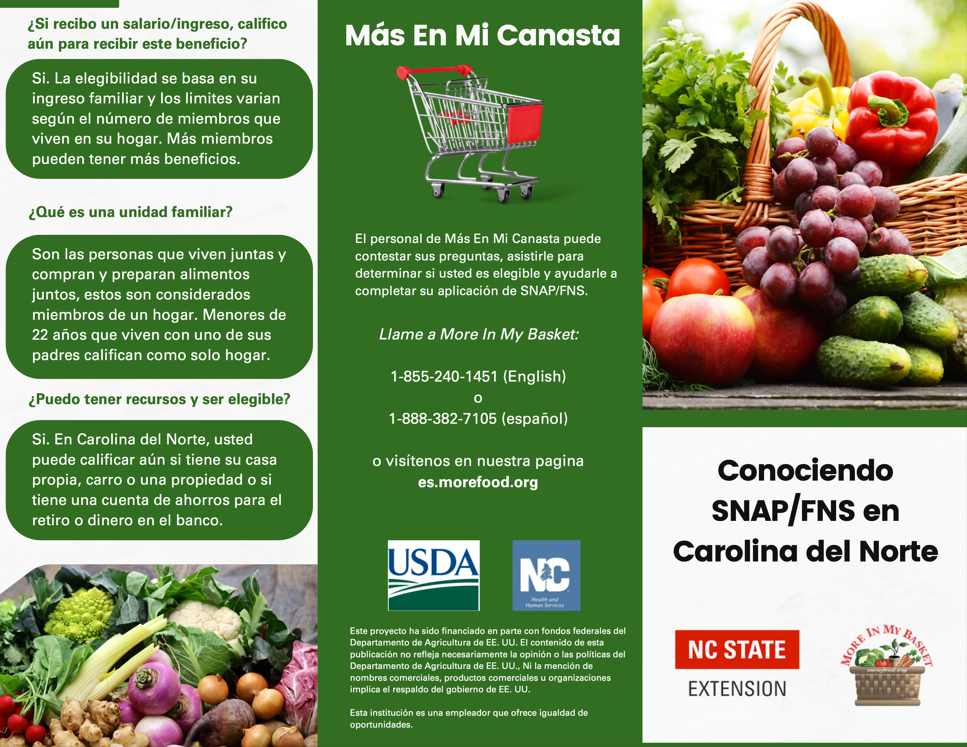 FNS Brochure - Spanish