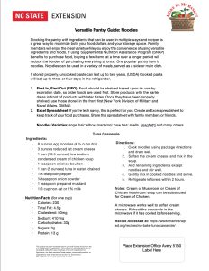 Noodles Handout