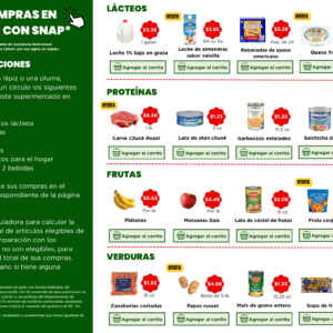 Online Shopping Activity - Spanish