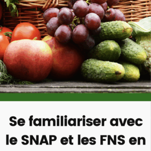 FNS Brochure - French