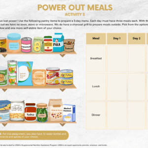 Power Out Meals Activity – English