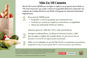 The back of a recipe card for the "More In My Basket" program with groceries on the left and program details on the right.