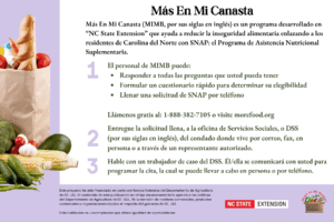 The back of a recipe card for the "More In My Basket" program with groceries on the left and program details on the right.